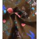 Tissu japonais Nani Iro - Birds Eye Beau Ying yang