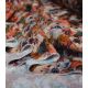 Tissu viscose - Mess autumn flowers