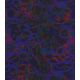 Coupon viscose - Magma
