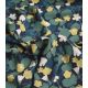 Coupon viscose - Capucine