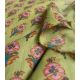 Coton indien - Gujarat Green