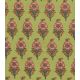 Coton indien - Gujarat Green