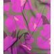 Tissu crêpe Magnolia - Kaki