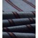 Coupon -Fred Shiny Stripes