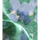 Bouton Jelly - Bleu