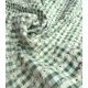 Tissu vichy brodé - Vert Tilleul