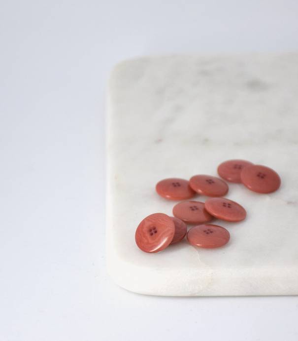 Boutons corozo - Eglantine