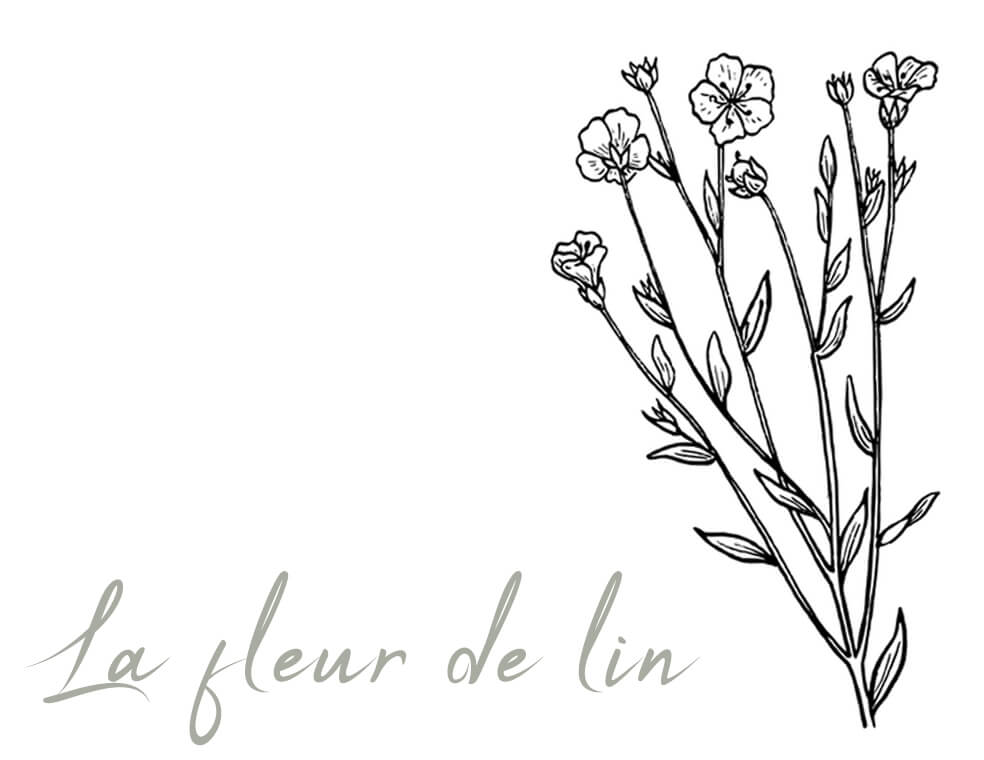 Tout savoir sur le lin